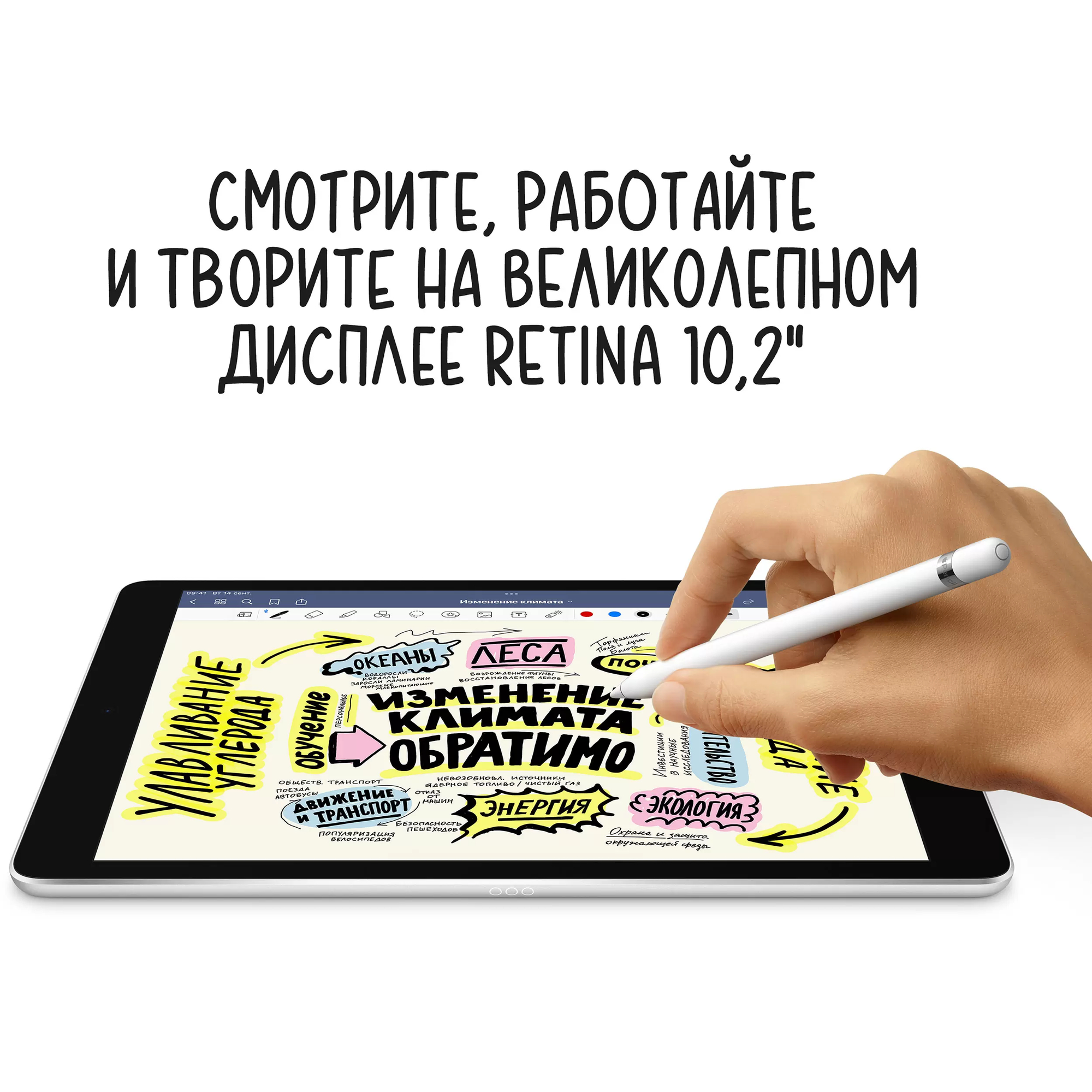 Купить Apple iPad 10,2 (2021) Wi-Fi + Cellular 256 ГБ, «серый космос» в  интернет-магазине «Цифровое Яблочко» в Москве, Подмосковье за наличные, по  безналу, бонусами Спасибо, в рассрочку.
