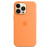 Apple iPhone 13 Pro Silicone Case with MagSafe Marigold Силиконовый чехол MagSafe для IPhone 13 Pro 