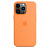 Apple iPhone 13 Pro Silicone Case with MagSafe Marigold Силиконовый чехол MagSafe для IPhone 13 Pro 