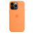Apple iPhone 13 Pro Silicone Case with MagSafe Marigold Силиконовый чехол MagSafe для IPhone 13 Pro 